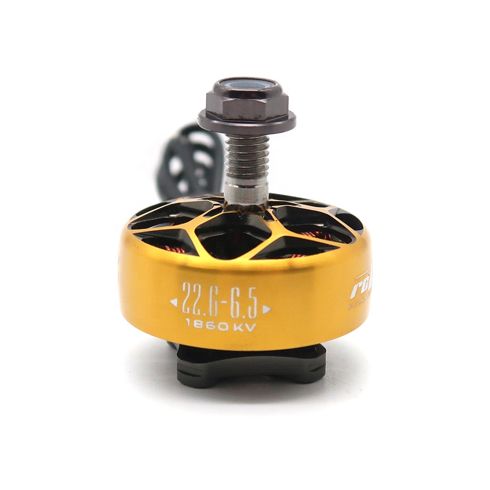 RCINPOWER WASP MAJOR 1860KV 20 - Drone Battery 6S reseña y precio