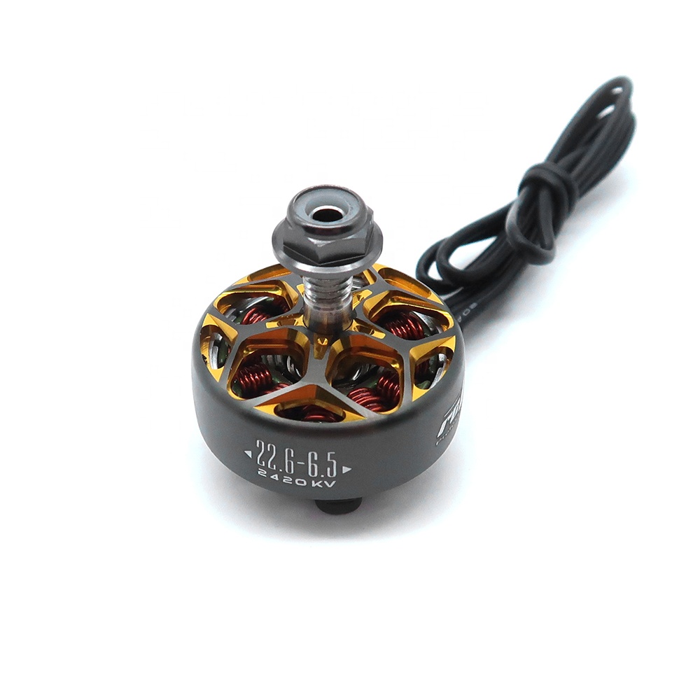 RCINPOWER WASP MAJOR 1860KV 20 - Drone Battery 6S reseña y precio
